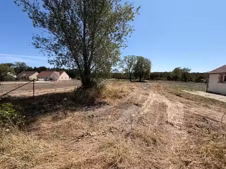 terrain