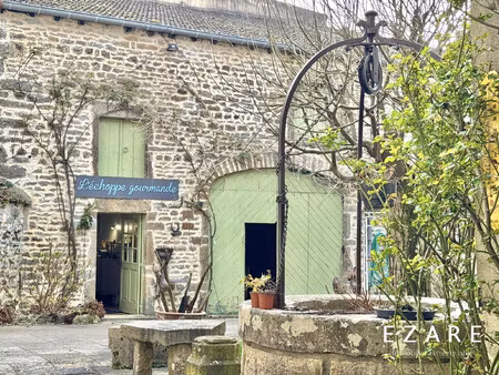 à vendre – fonds de commerce hôtel de charme au coeur de la