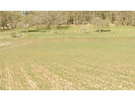 vente terrain 1200 m² à lalinde (24150)  23 000 €