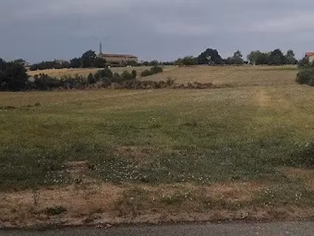 vente terrain à batir 7460 m² à eoux (31420)  39 000 €