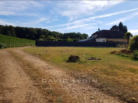 terrain