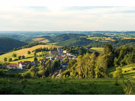 sur l'axe roanne  vichy  superbe longère traditionnelle  grand jardin arboré  possibilités