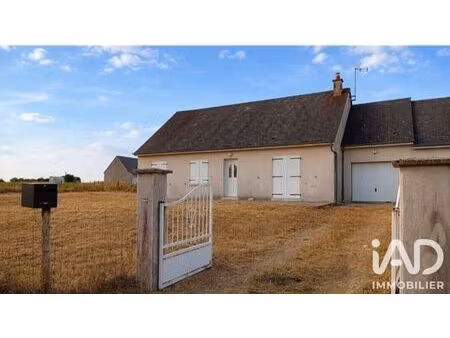 maison à monthodon (37110)