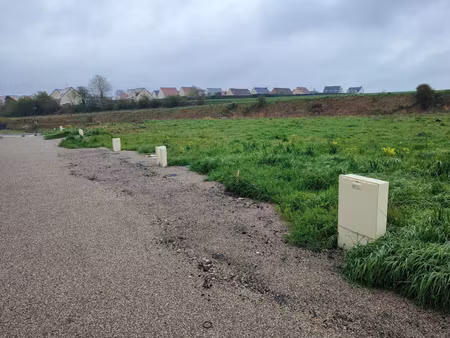 achat terrain 559m² pont de metz 80480