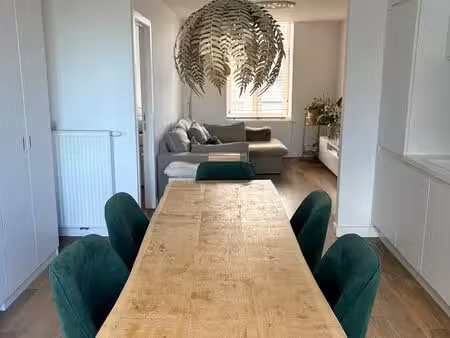 appartement à louer à kroonstraat borgerhout (vbe50553)