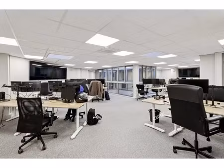 location local professionnel 435m²
