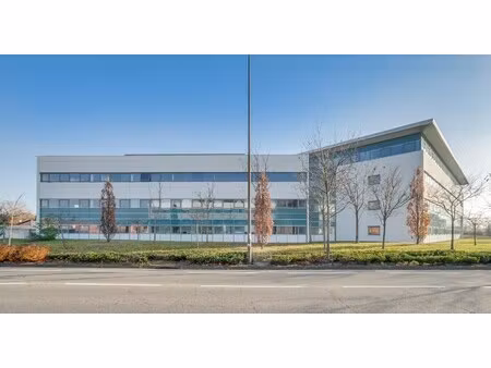 location local professionnel 1 036m²