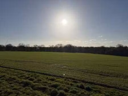 vente terrain à bourg-blanc (29860) : à vendre / bourg-blanc