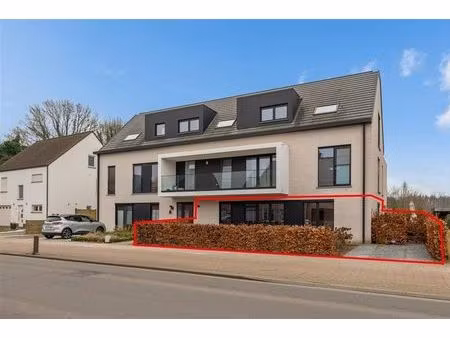 rez-de-chaussée à vendre à zandhovensteenweg 45 oelegem (rbw55580)