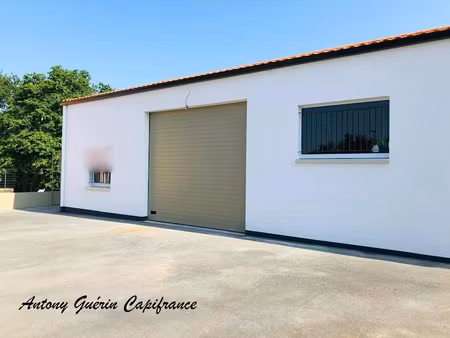 vente locaux professionnels 3 pièces 181 m² à saint-martin-des-tilleuls (85130)  169 000 €