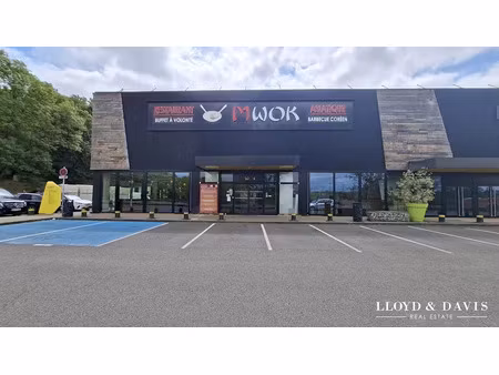 vente locaux professionnels 600 m² à villebon-sur-yvette (91140)  480 000 €