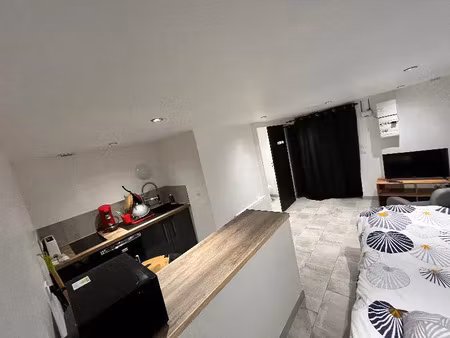 location appartement 1 pièce 20 m² à saint-ciers-sur-gironde (33820)