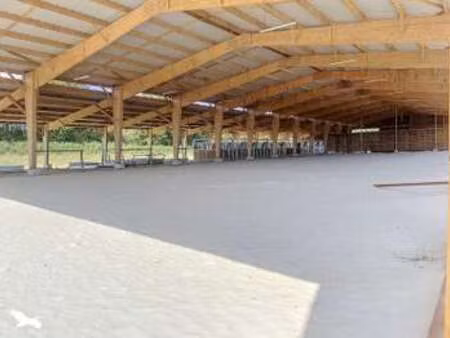 vente terrain à aubigny-les-clouzeaux (85430) : à vendre / aubigny-les-clouzeaux