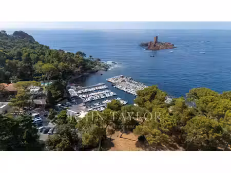 terrain constructible pieds dans l'eau – 1 hectare avec vue mer