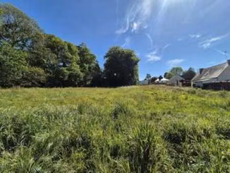 vente terrain à la chapelle-caro (56460) : à vendre / 2419m² la chapelle-caro
