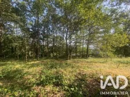 vente terrain à la flèche (72200) : à vendre / 1800m² la flèche
