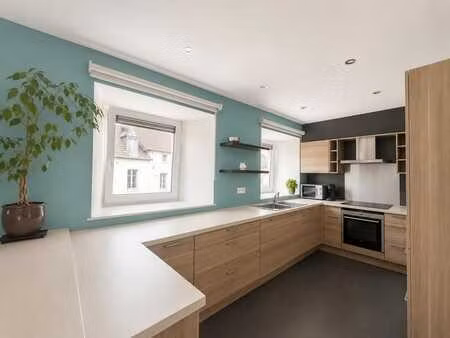 appartement avec terrasses et jardin !