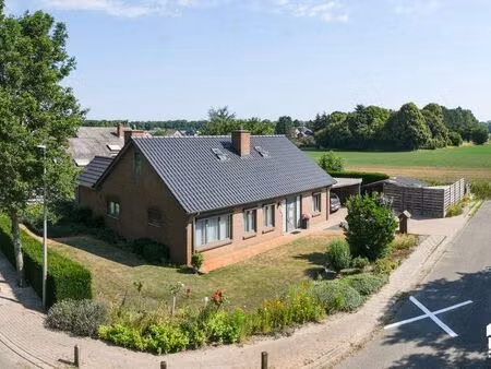 maison à vendre à neerpelt € 349.000 (lql43) - era carl tournier (pelt) | zimmo