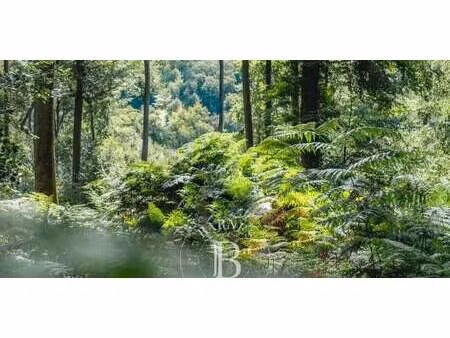 terrain villons-les-buissons (14)
