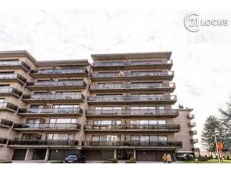 appartement spacieux de 3 chambres à beveren-waas