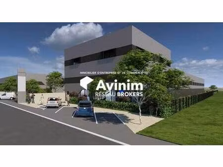 vente entrepôt clermont l herault 34800 352m²