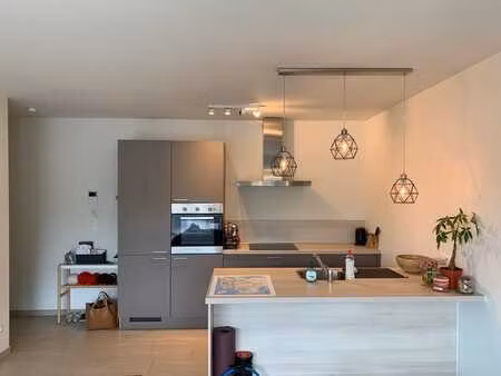 app. moderne 1 chambre  terrasse  parking et grande cave