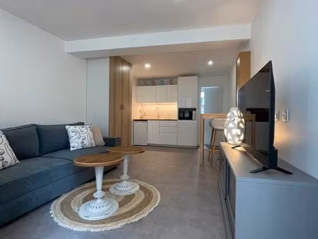 appartement meublé de standing – 26 m² – centre bourg d’olivet – entièrement rénové