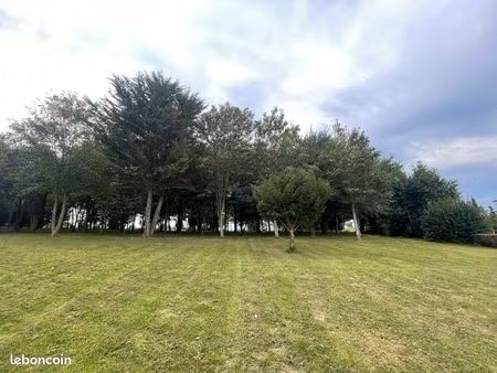 terrain pour cheval/poney