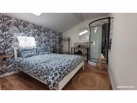 joli duplex centre ville montauban