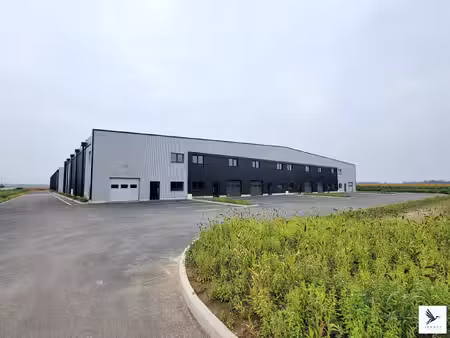 local professionnel - 330m² - fegersheim