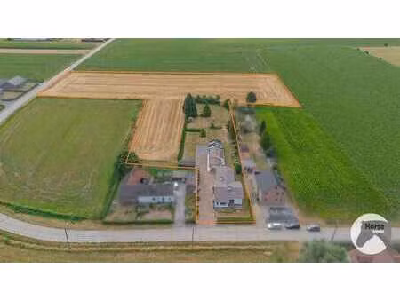 zottegem - rustig gelegen bungalow in het groen