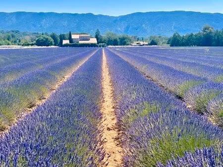 nous cherchons une maison à louer