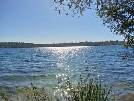 recherche maison avec terrain