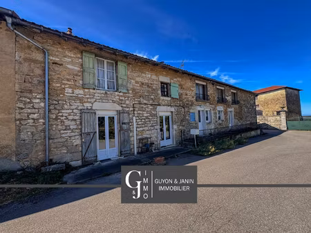 maison coligny 9 pièce(s) 190 m2