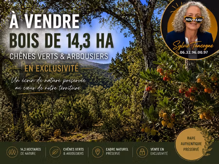 bois de plus de 14 ha