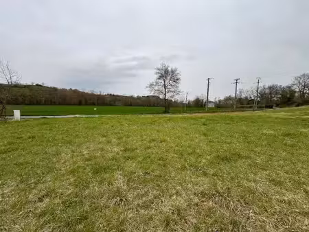 vente terrain 956 m² à auriac-sur-vendinelle (31460)  90 500 €