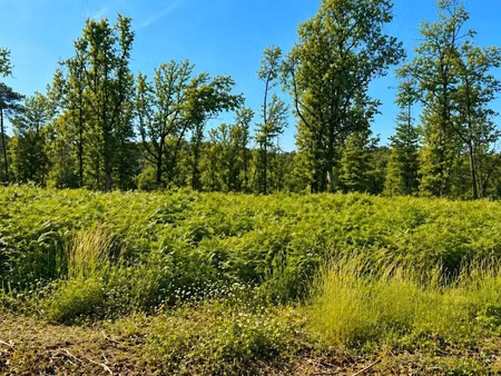 vente terrain 1500 m² à atur (24750)  90 000 €