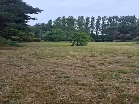 vente terrain 1015 m² à périssac (33240)  91 000 €