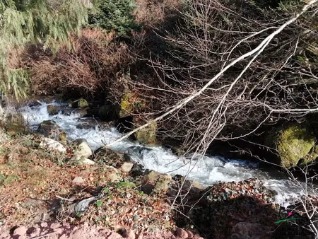 vente terrain à batir 355 m² à le hohwald (67140)  99 000 €