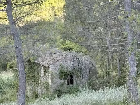vente terrain à batir 60 m² à crestet (84110)  220 000 €