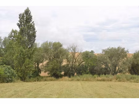 rabastens proche face à la campagne beau terrain viabilisé de 1026 m2