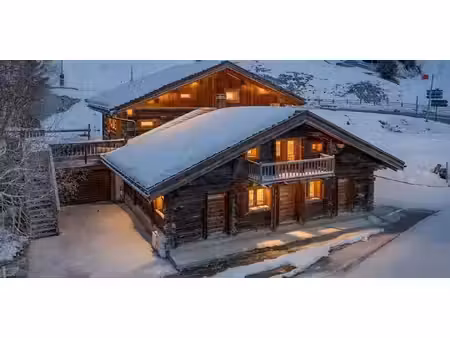 chalet avec terrasse les saisies (73)