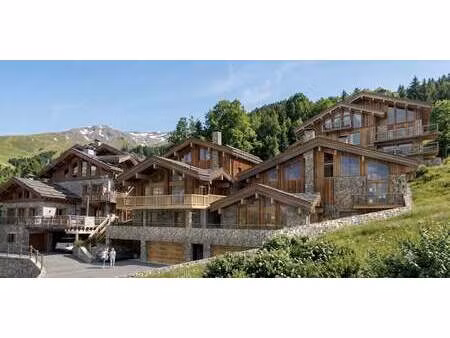 chalet avec vue panoramique et terrasse saint-martin-de-belleville (73)