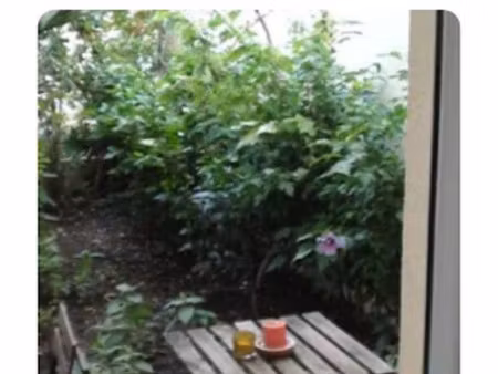 location meublée appartement 1 pièce 15 m² à grenoble (38000)  480 €