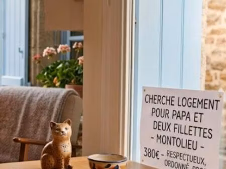 papa cherche location  logement à montolieu