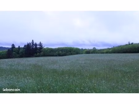 cherche terrain à louer