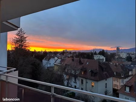 chamant 2 pièces avec vue panoramique à riedisheim