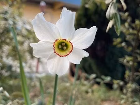 maison avec jardin  calme  écologique et économique
