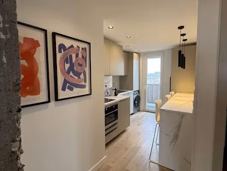 location meublée appartement 1 pièce 57 m² à toulouse (31000)  510 €