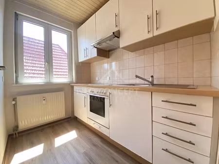 location appartement 2 pièces 45 m² à wissembourg (67160)  570 €